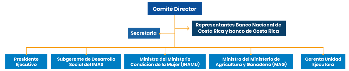 Esquema Comité Director