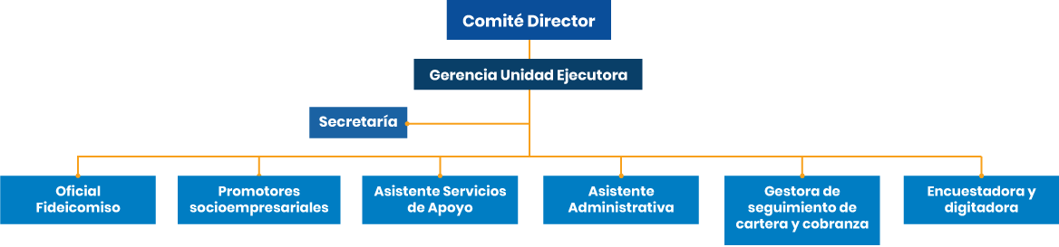 Esquema Unidad ejecutora