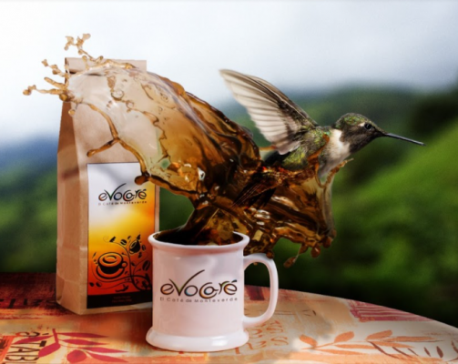 CAFÉ