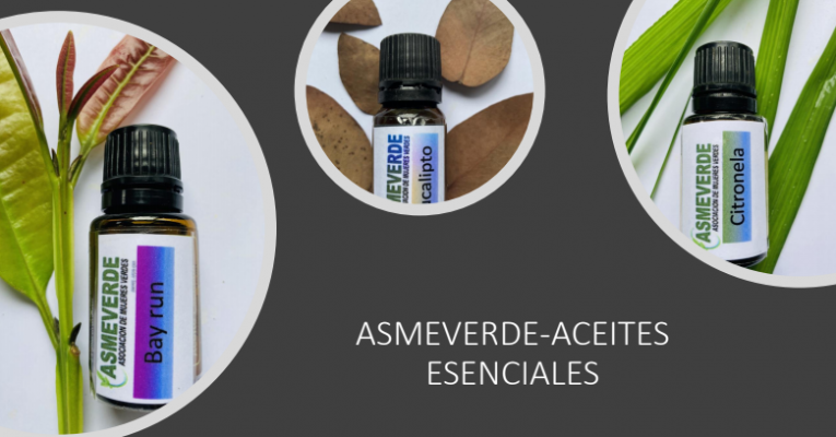 Catalogo