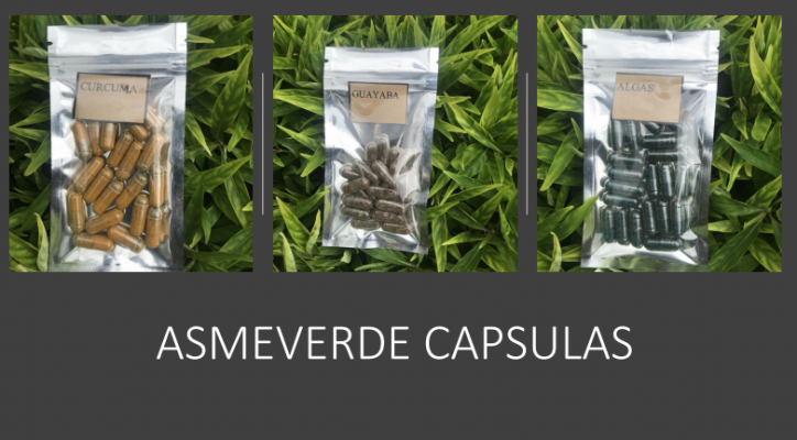 Catalogo